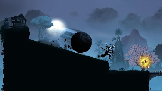 ninja warrior modified